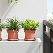 Kružni Pladanj za Cvijeće 24 pcs Crvena cigla Ø 14 x 2 cm