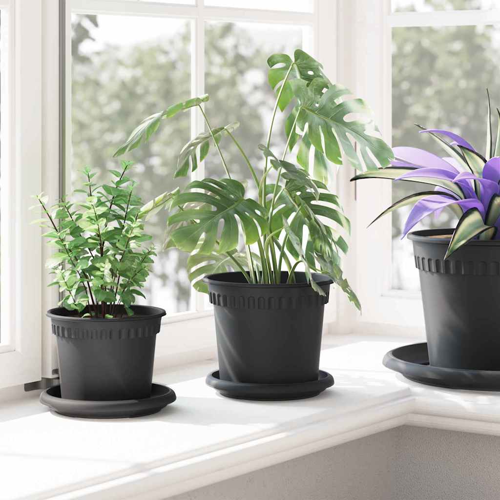 Kružni Pladanj za Cvijeće 24 pcs Crna Ø 14 x 2 cm Plastika