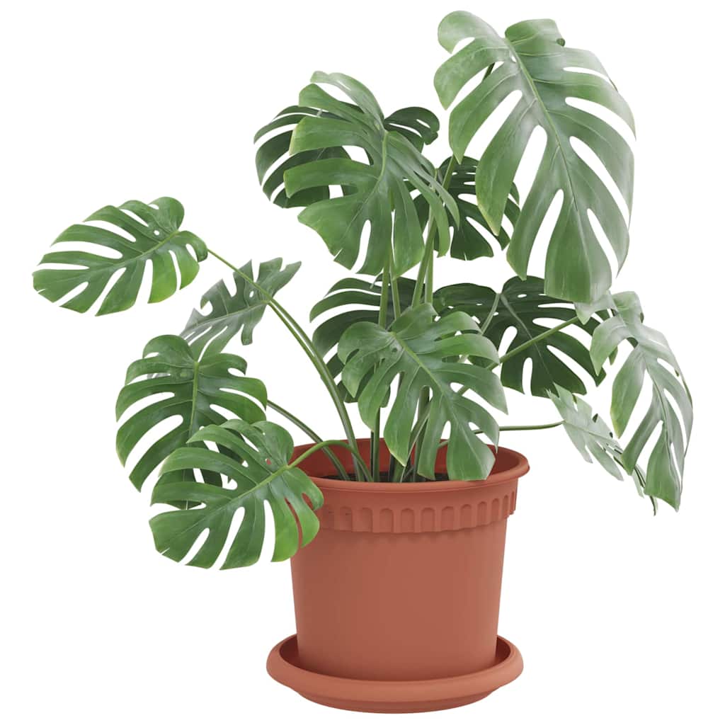 Saksije za biljke 24 pcs Crvena cigla Ø 15 x 12 cm Plastika