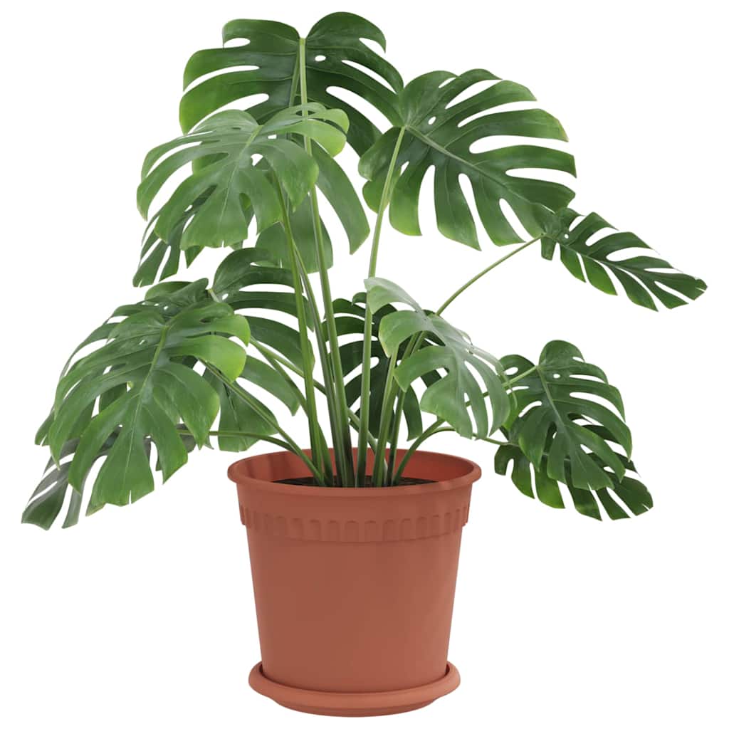 Saksije za biljke 24 pcs Crvena cigla Ø 19 x 16 cm Plastika