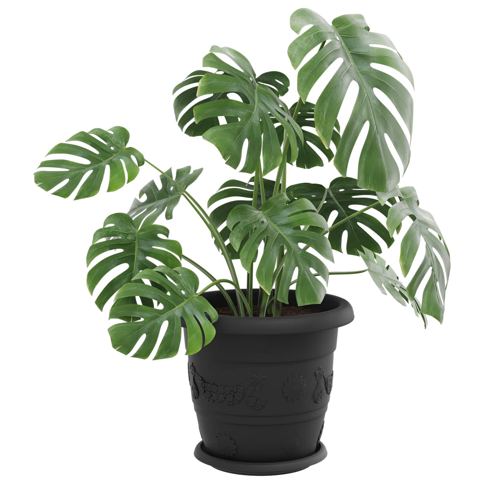 Saksije za biljke 6 pcs Crna Ø 30 x 25 cm Plastika