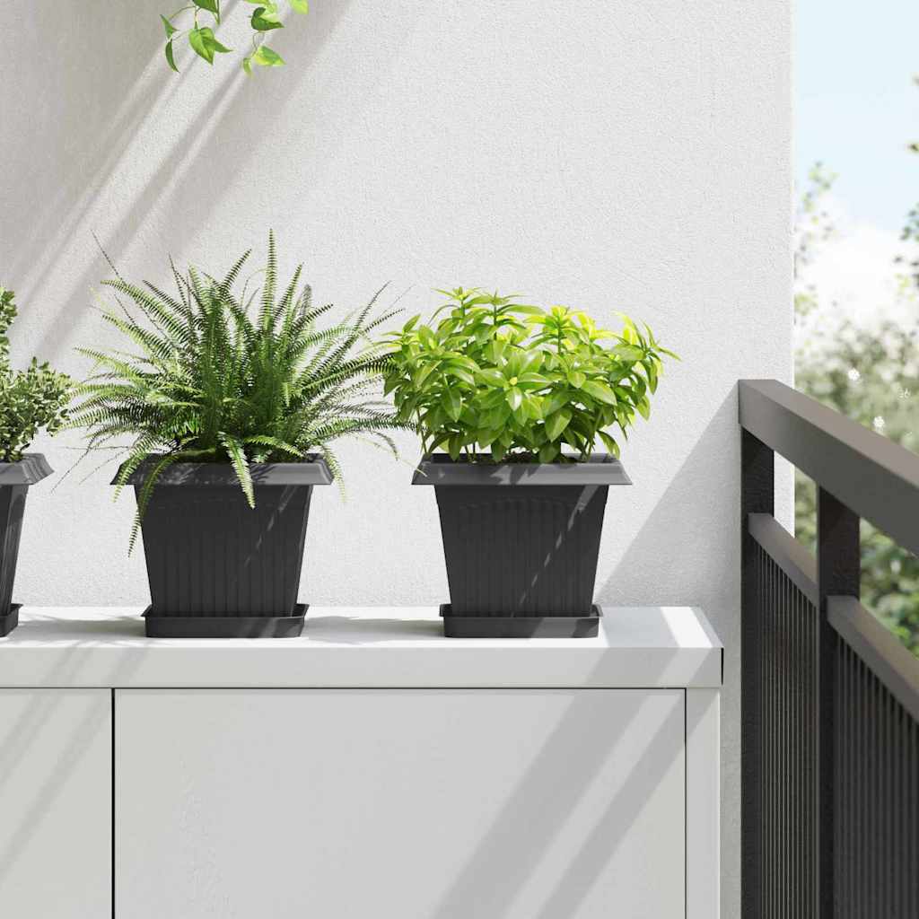 Saksije za biljke 6 pcs Crna 20 x 20 x 16 cm Plastika