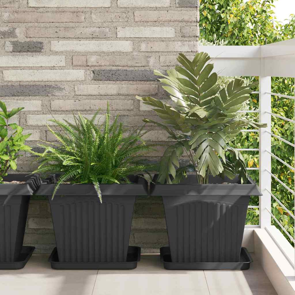 Saksije za biljke 6 pcs Crna 43 x 43 x 33,5 cm Plastika