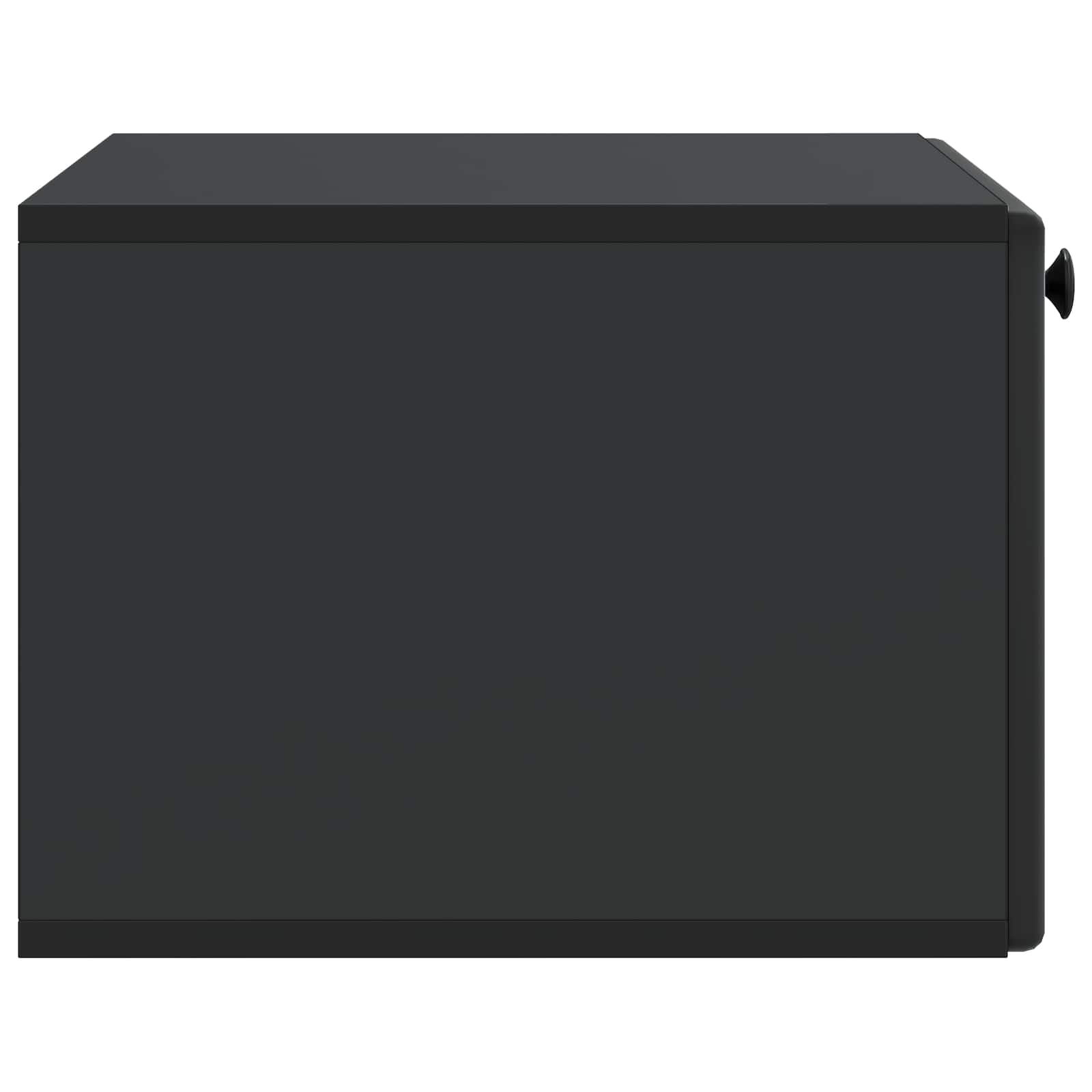 TV ormar za zid 59,5 x 41 x 30 cm Crna Konstruirano drvo Zidne