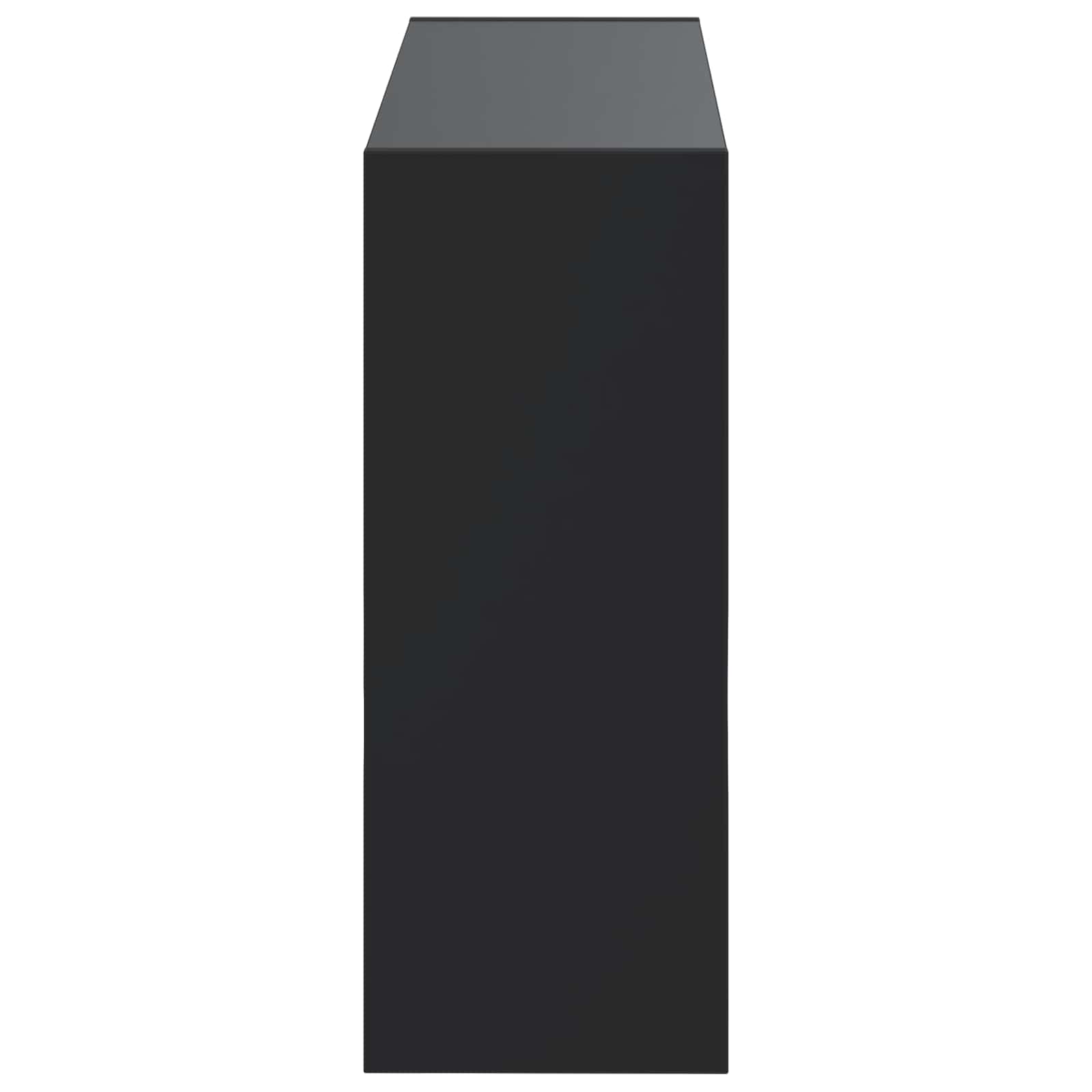 Ormar za cipele na zidu ZWOLLE 71 x 17 x 43 cm Crna