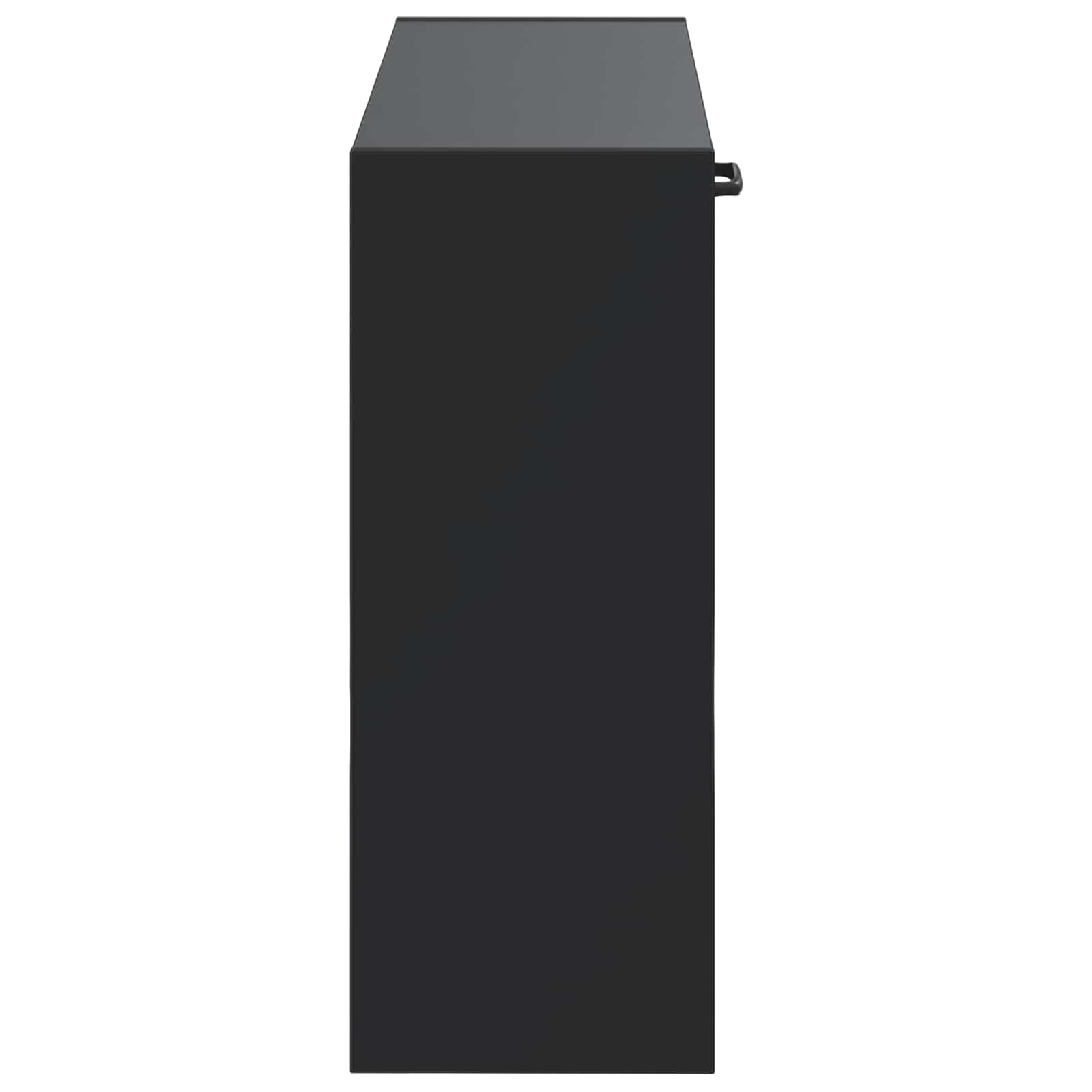 Ormar za cipele na zidu HOORN 71 x 17 x 43 cm Konstruirano drvo
