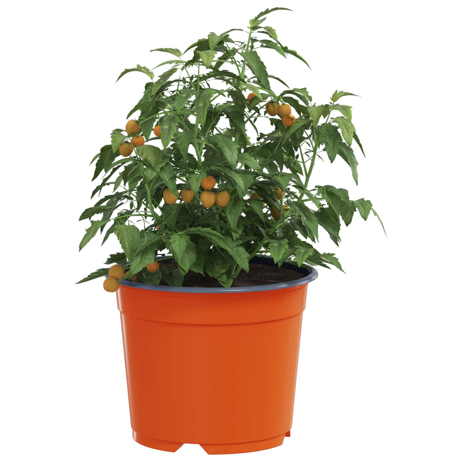 Okrugla saksija za cveće 50 pcs Terakota Ø 10 x 8 cm Plastika
