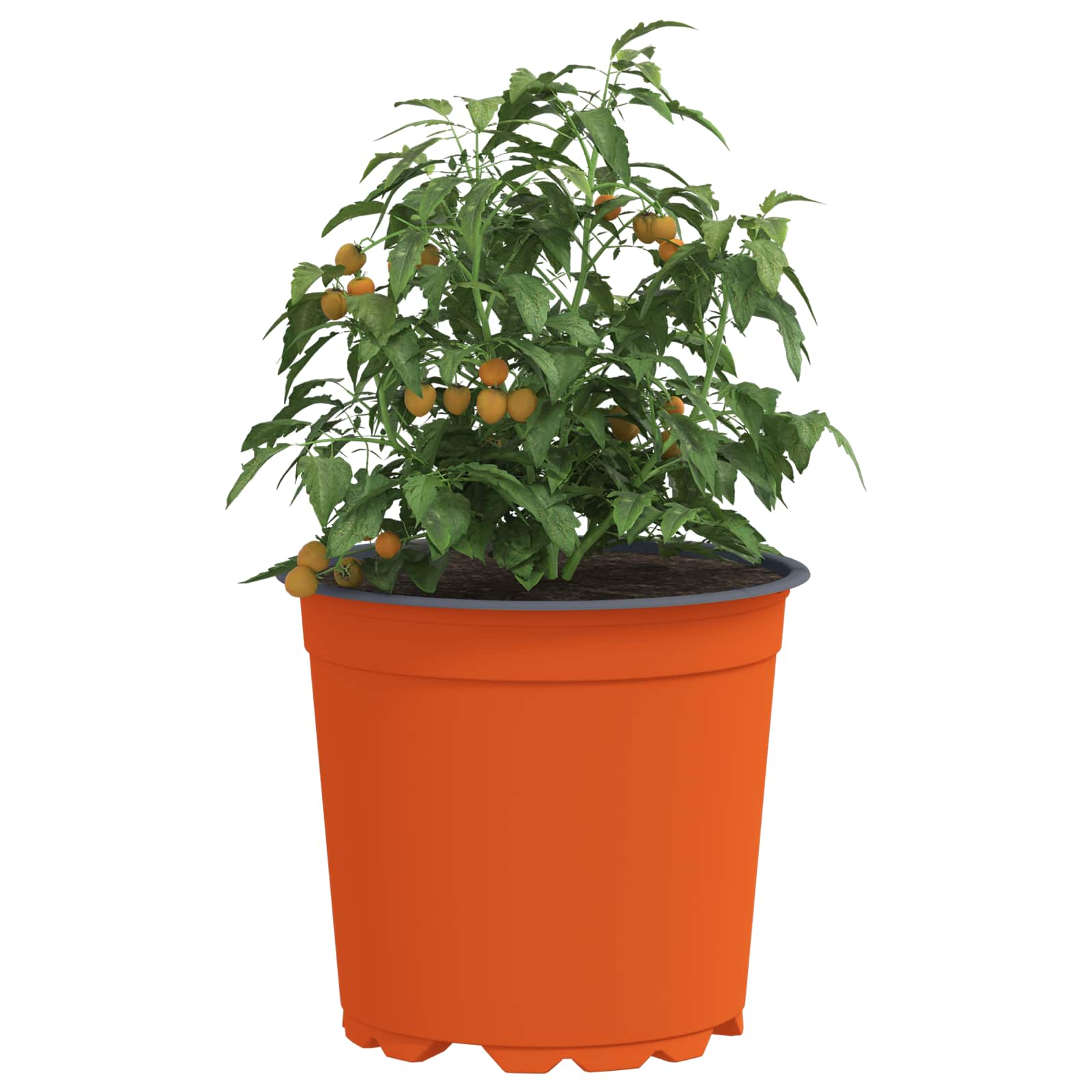 Lonac za cvijeće 50 pcs Terakota Ø 15 x 13 cm Plastika