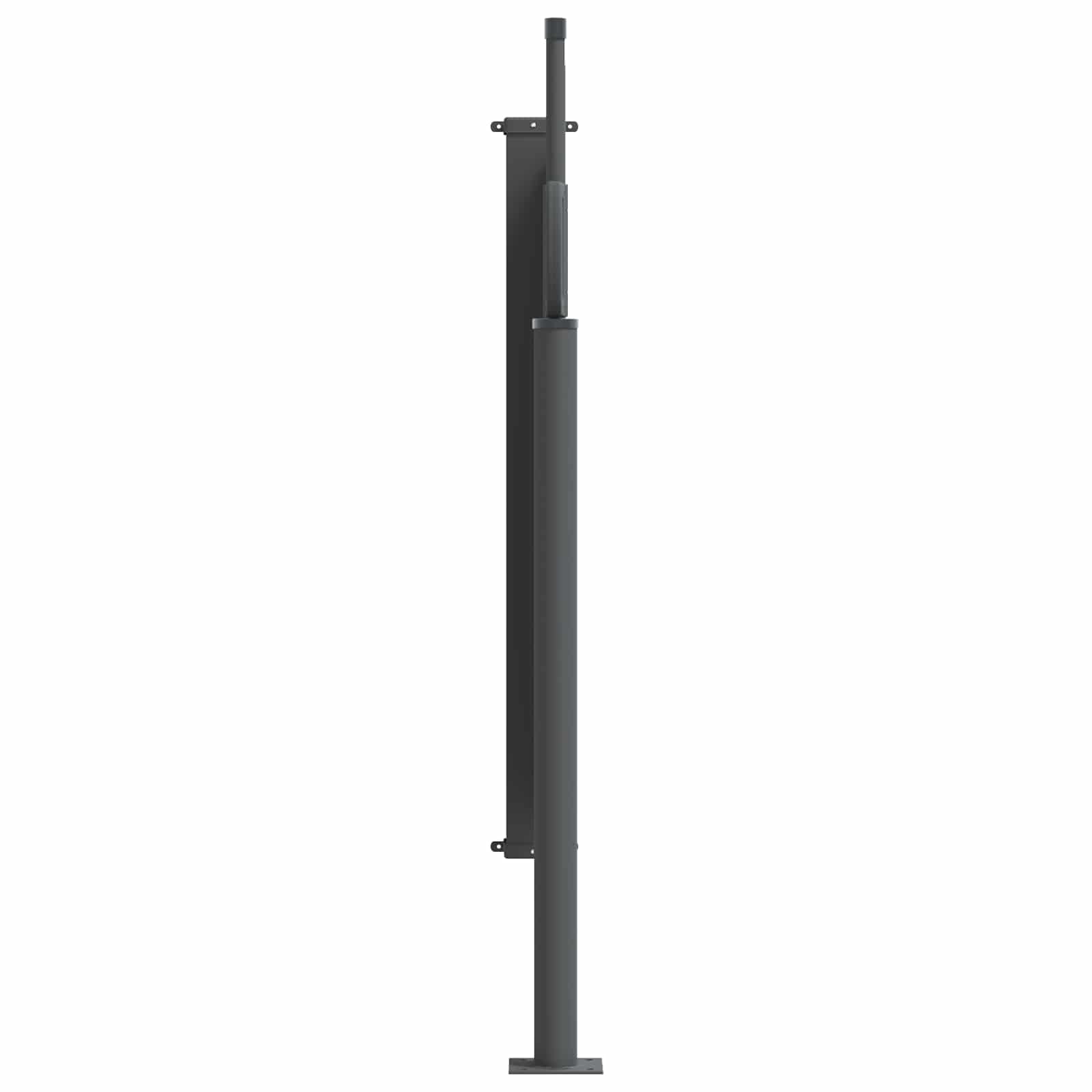 Retraktabilna bočna tende Crna 300 x 100 cm Poliester