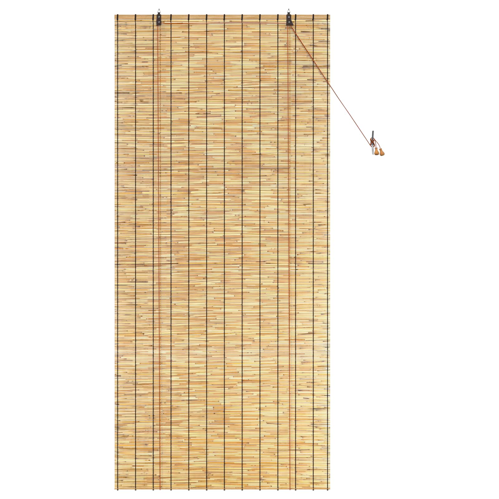 Rolo zavjesa Prirodna 100 x 220 cm Trska