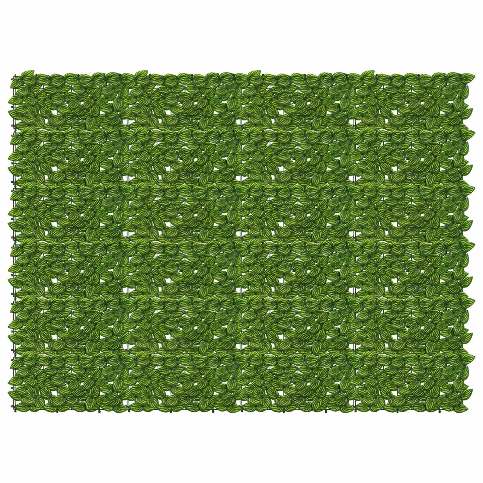 Zaslon za balkon s lišćem Zelena i žuta 200 x 150 cm