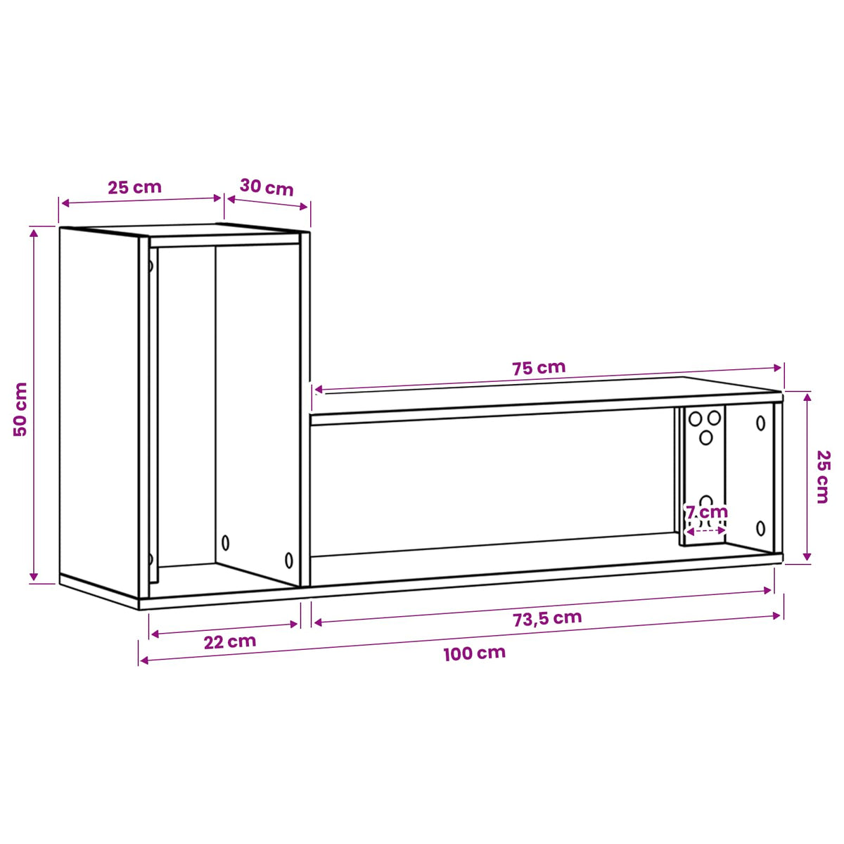 TV ormar 100 x 30 x 50 cm Staro drvo Konstruirano drvo