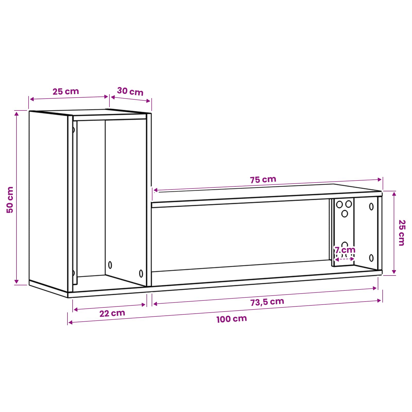 TV ormar 100 x 30 x 50 cm Crni hrast Konstruirano drvo