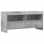 TV ormar 100 x 33 x 47 cm Betonska siva Konstruirano drvo