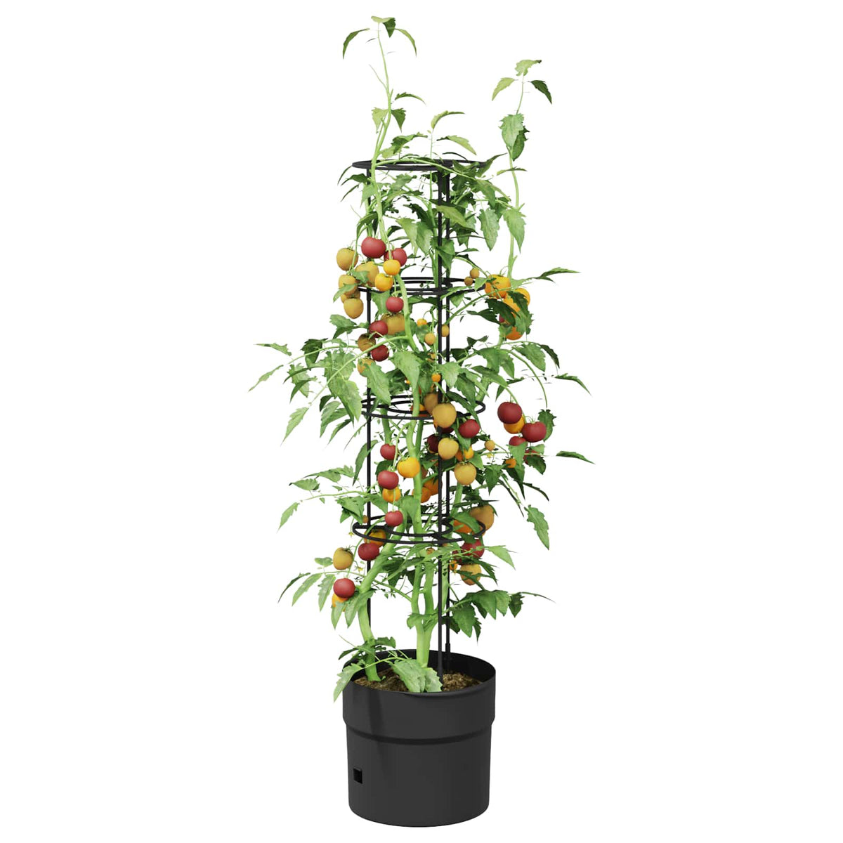 Uzgajivač rajčice Crna Ø 32 x 127 cm PP