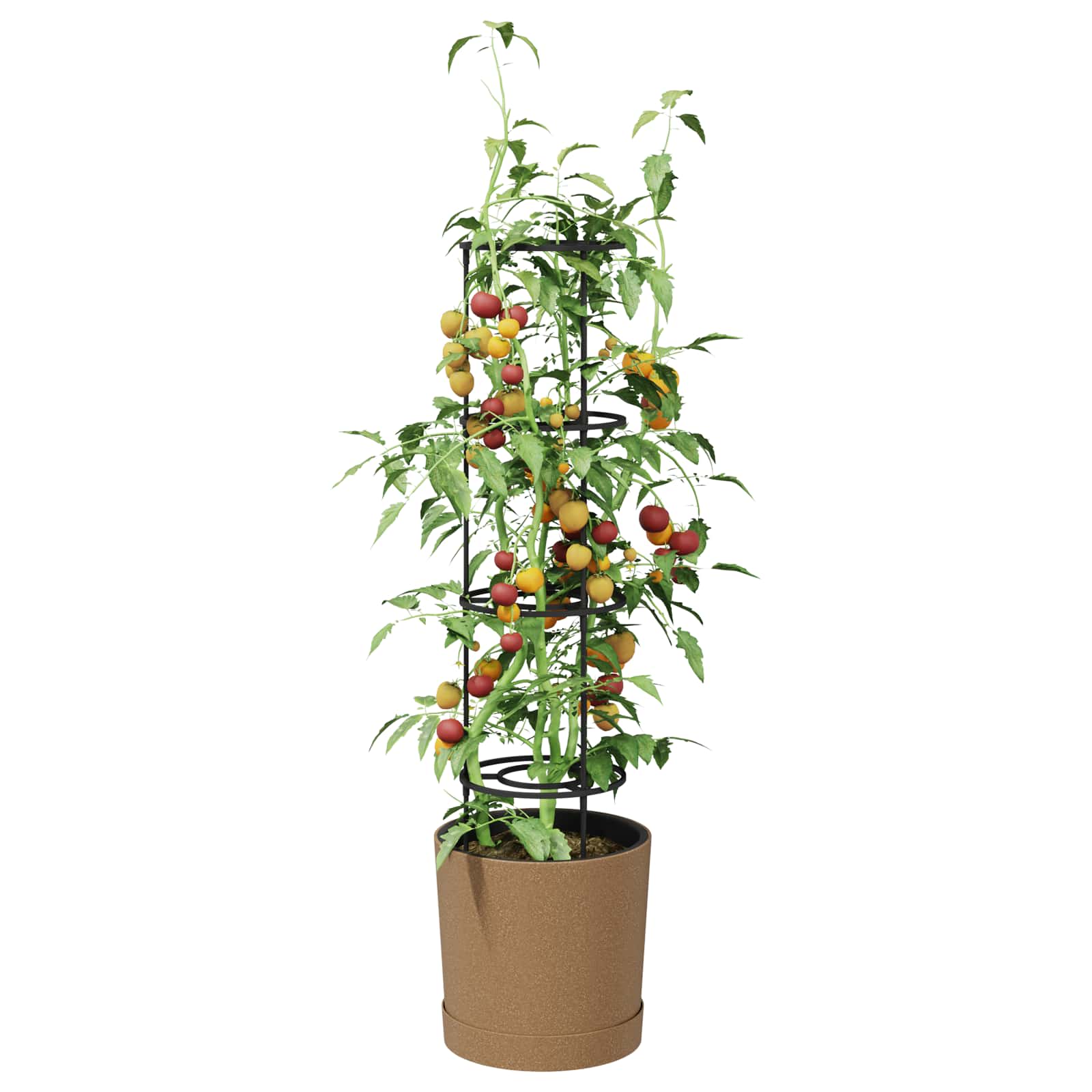 Uzgajivač rajčica Naturo ECO Ø 39 x 139 cm WPC