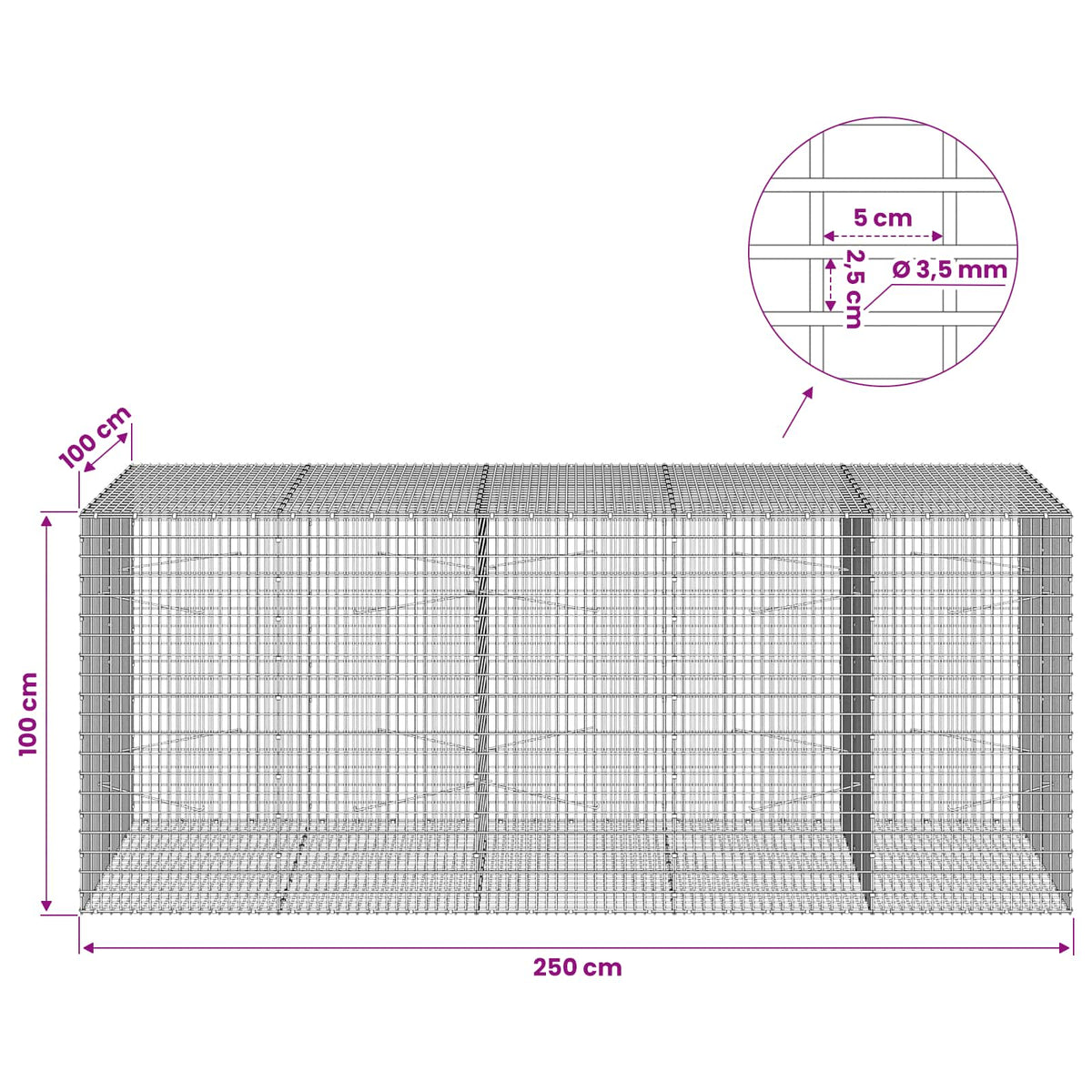 Gabion s žicom debljine 3,5 mm i mrežom 5x2,5 cm 250x100x100 cm