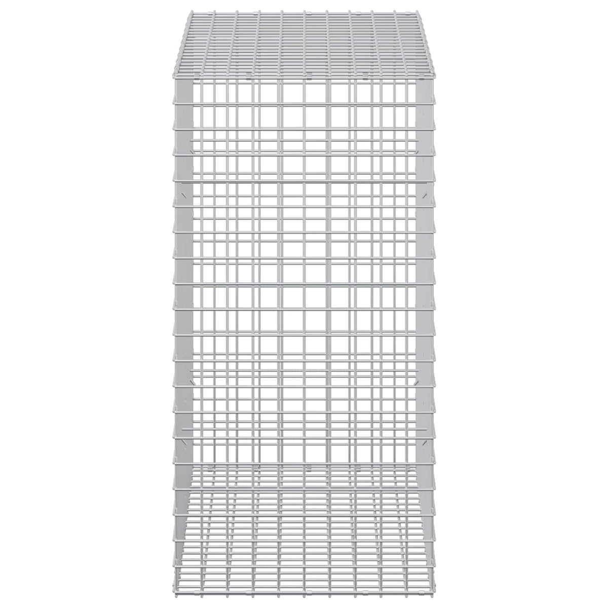Gabion s žicom debljine 3,5 mm i mrežom 5x5 cm 50x100x100 cm