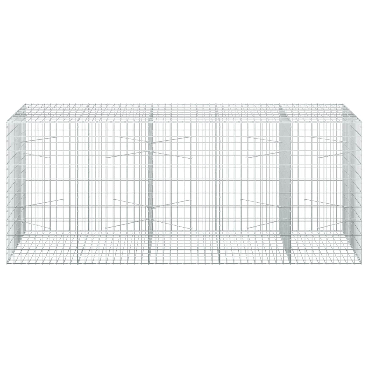 Gabion s žicom debljine 3,5 mm i mrežom 5x10 cm 250x100x100 cm