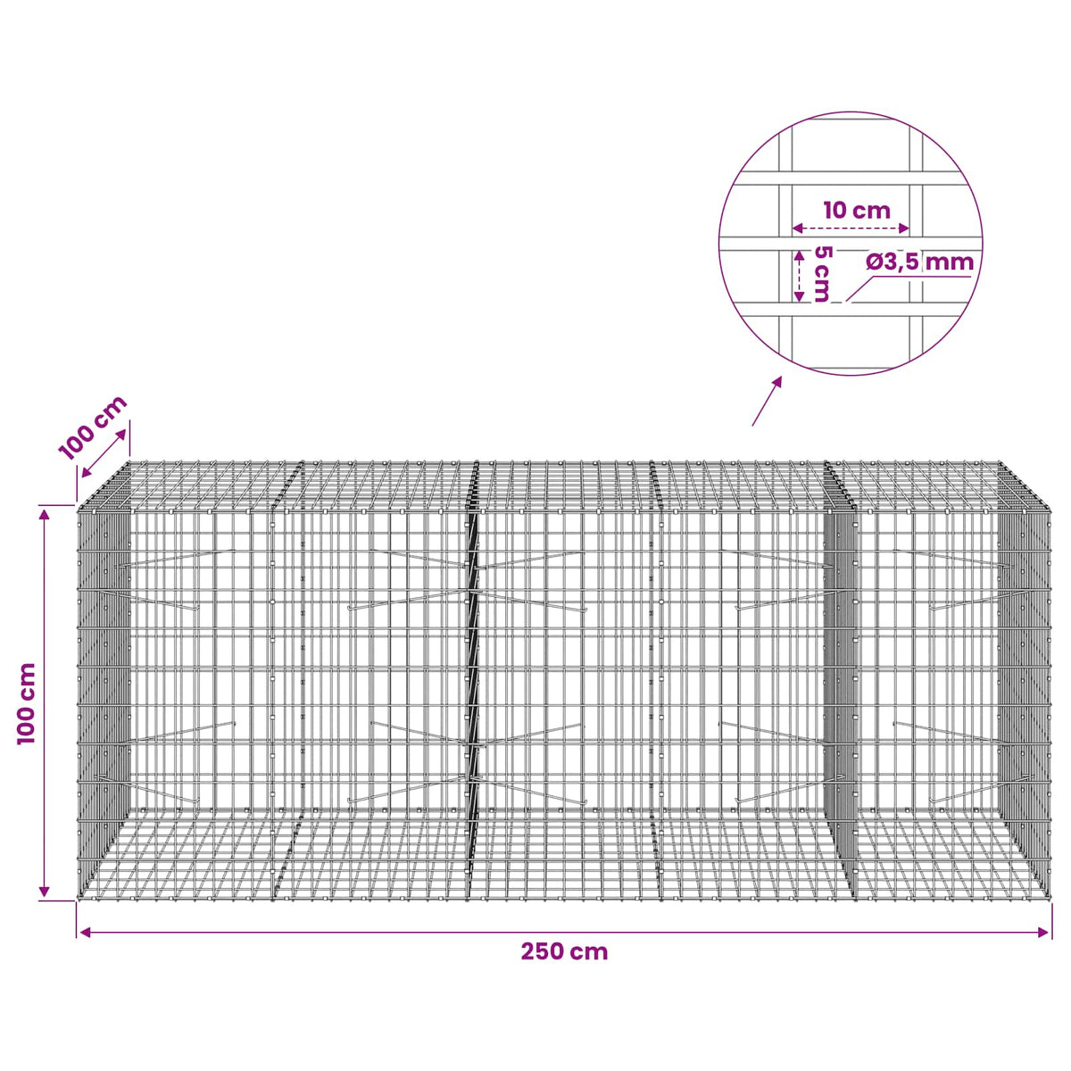 Gabion s žicom debljine 3,5 mm i mrežom 5x10 cm 250x100x100 cm