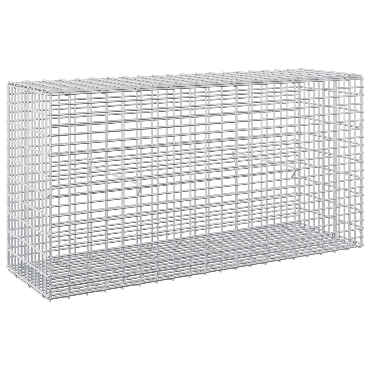 Gabion s žicom debljine 5 mm i mrežom 5x2,5 cm 100x30x50 cm