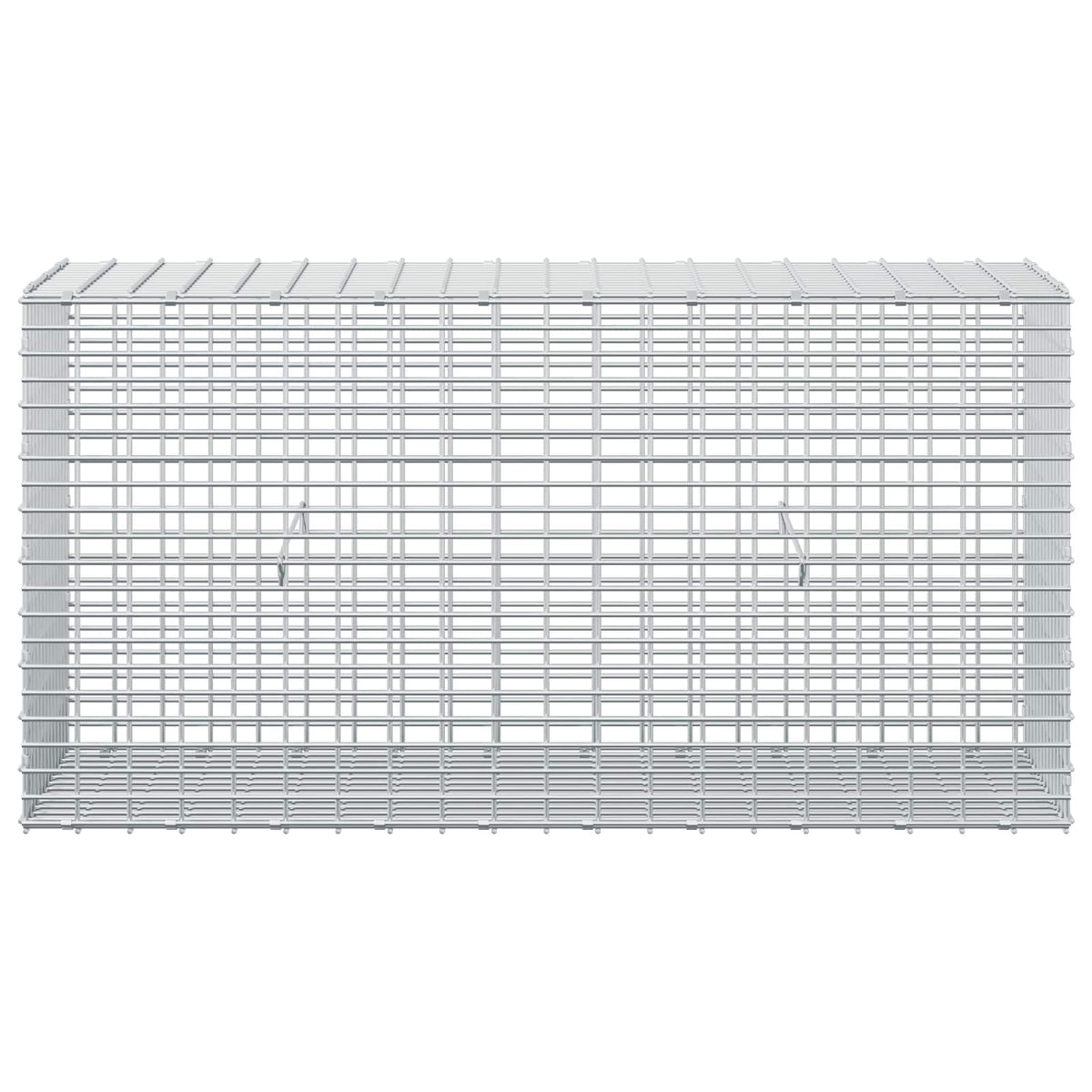 Gabion s žicom debljine 5 mm i mrežom 5x2,5 cm 100x30x50 cm