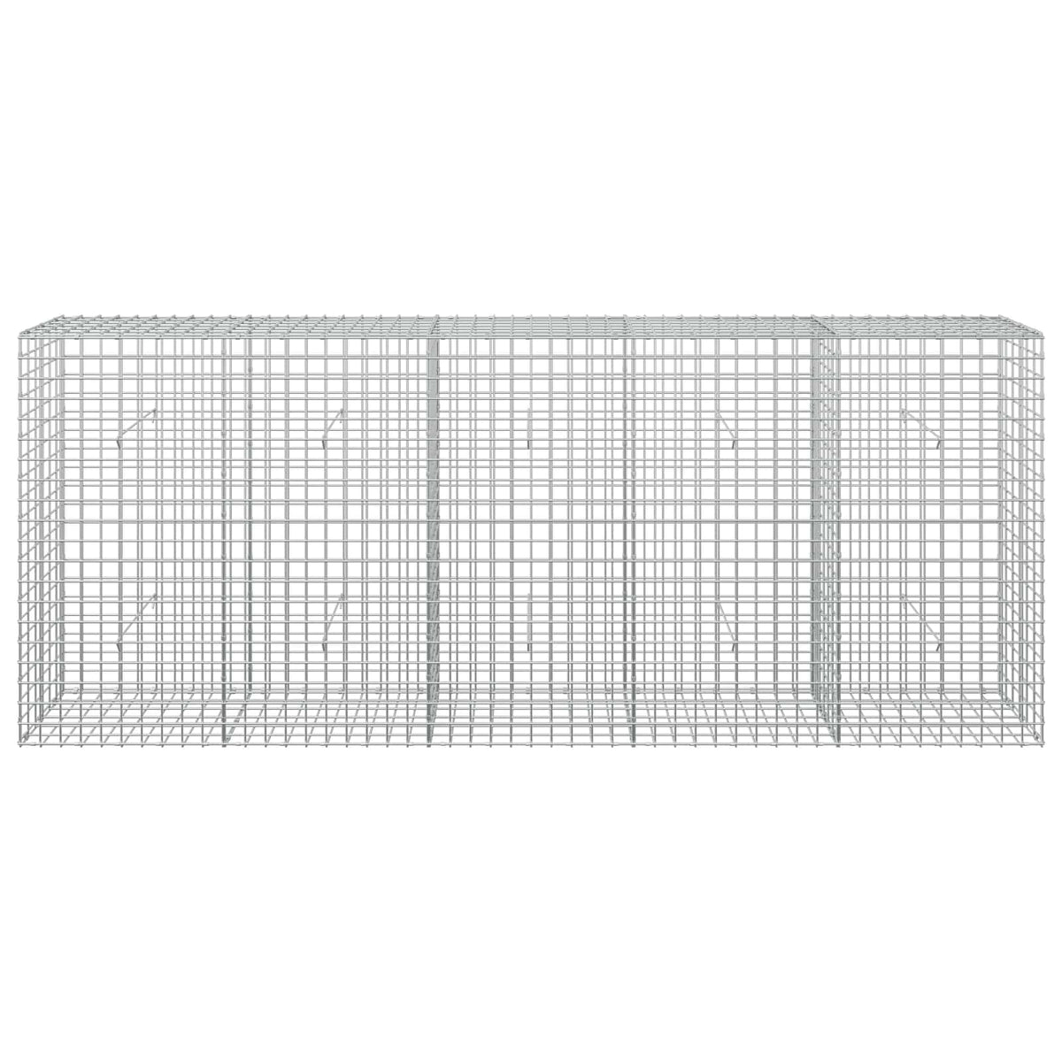 Gabion s 5 mm žicom i mrežom 5x5 cm 250x30x100 cm