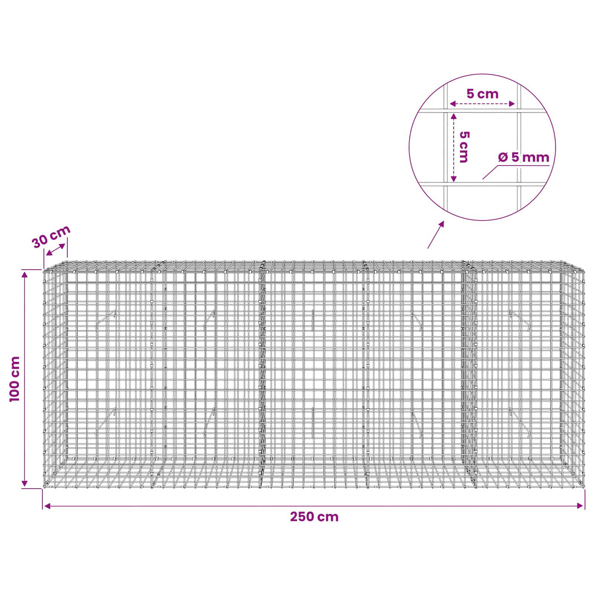Gabion s 5 mm žicom i mrežom 5x5 cm 250x30x100 cm