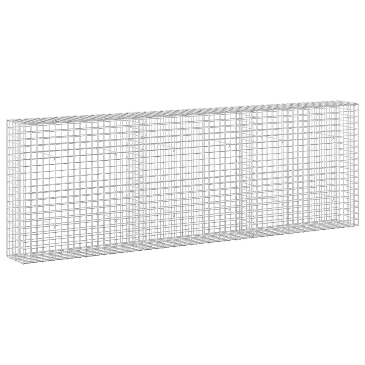 Gabion s 5 mm žicom i mrežom 5x5 cm 300x30x100 cm