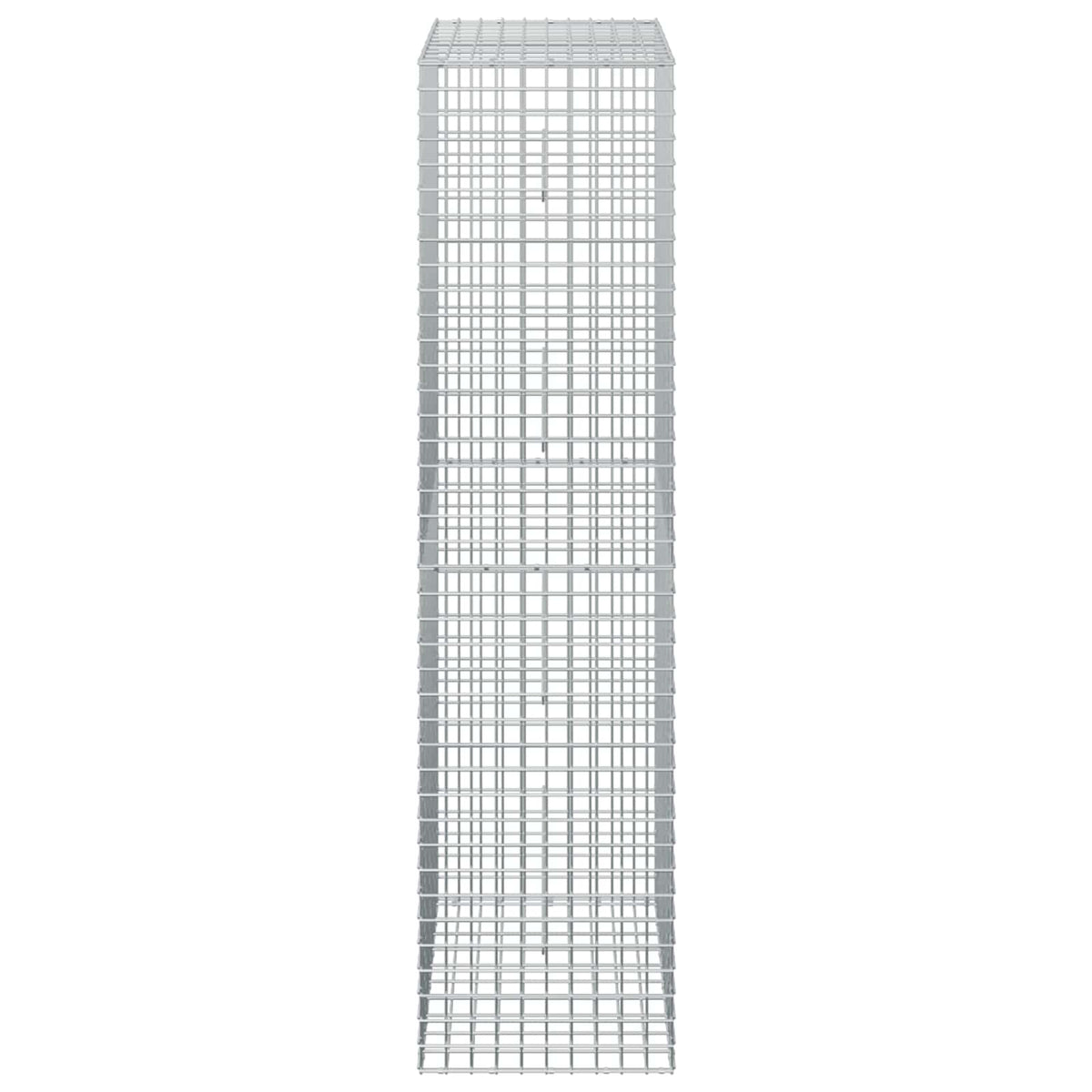 Gabion s 5 mm žicom i mrežom 5x5 cm 50x50x200 cm