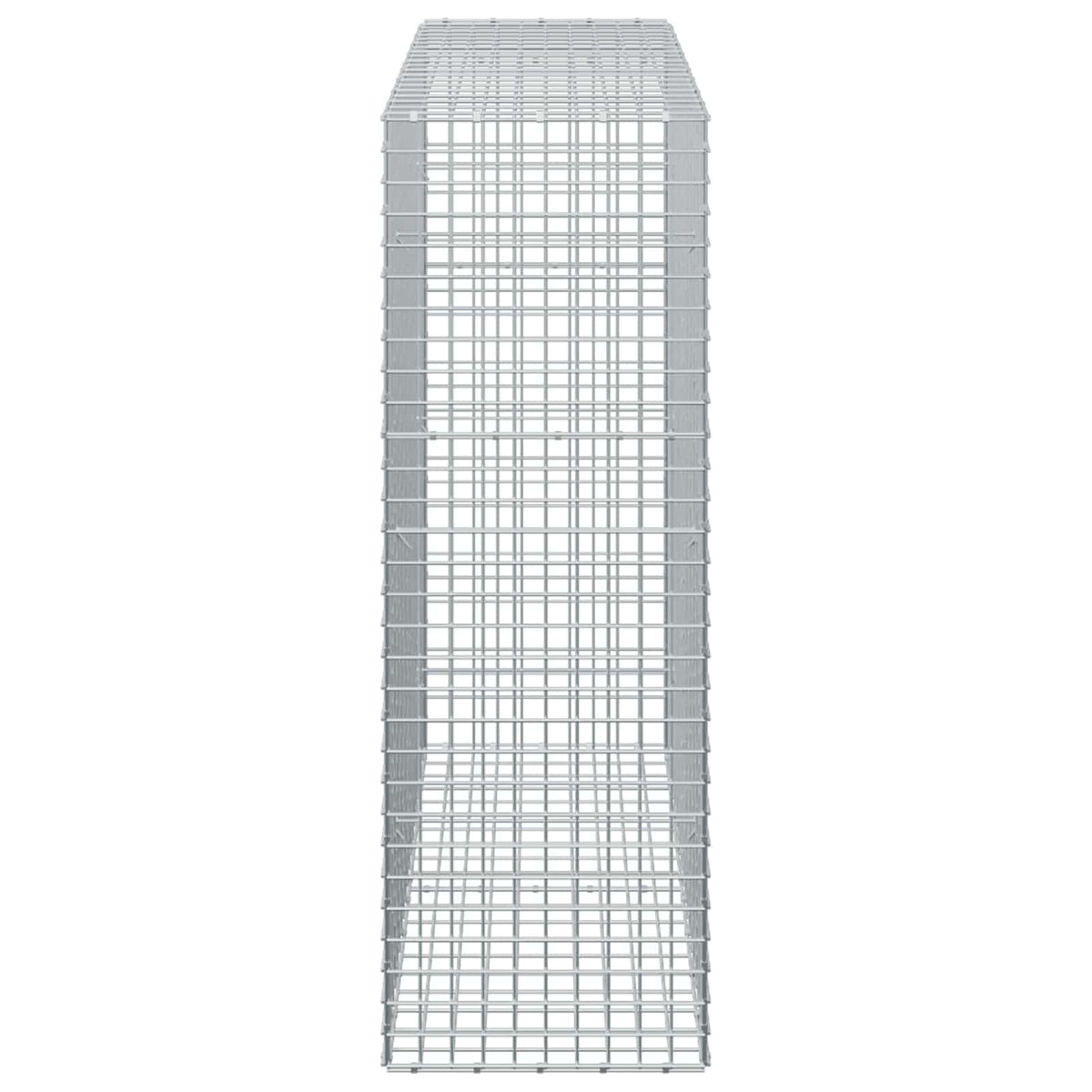 Gabion s 5 mm žicom i mrežom 5x5 cm 50x100x150 cm