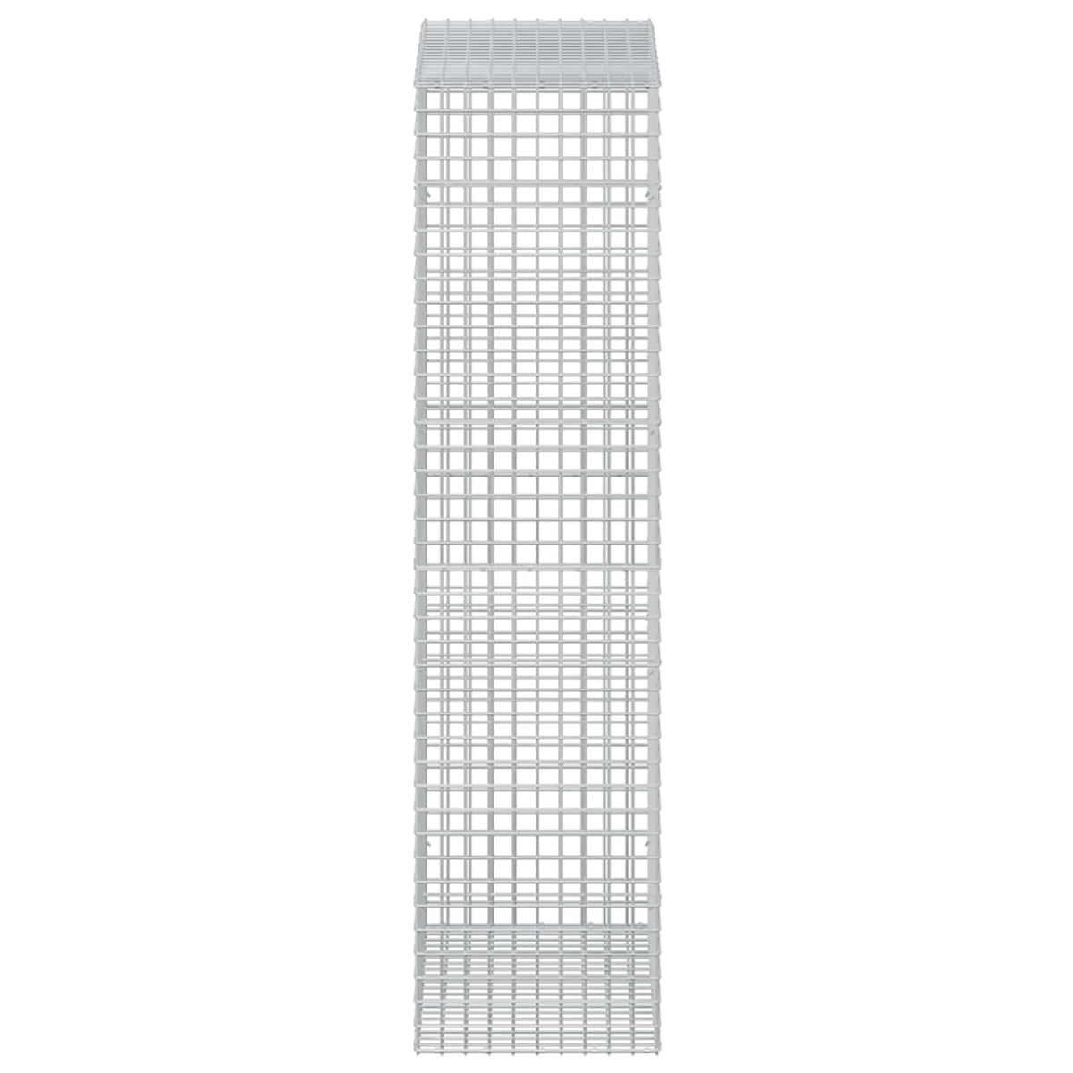 Gabion s žicom debljine 5 mm i mrežom 5x5 cm 50x100x200 cm
