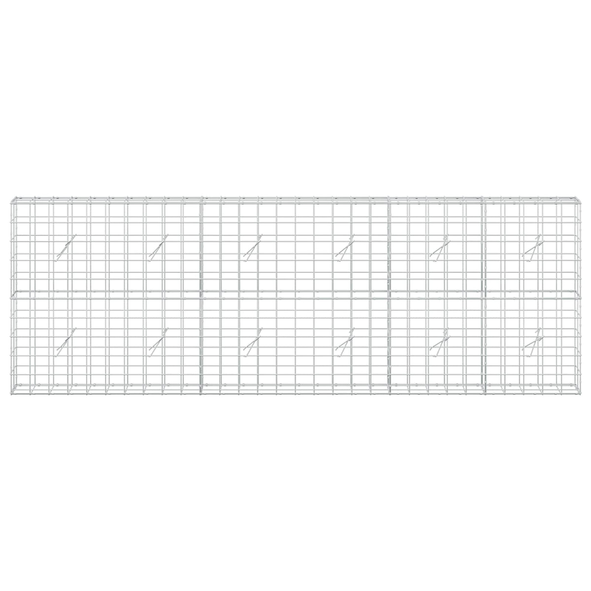 Gabion s žicom debljine 5 mm i mrežom 10x10 cm 300x20x100 cm