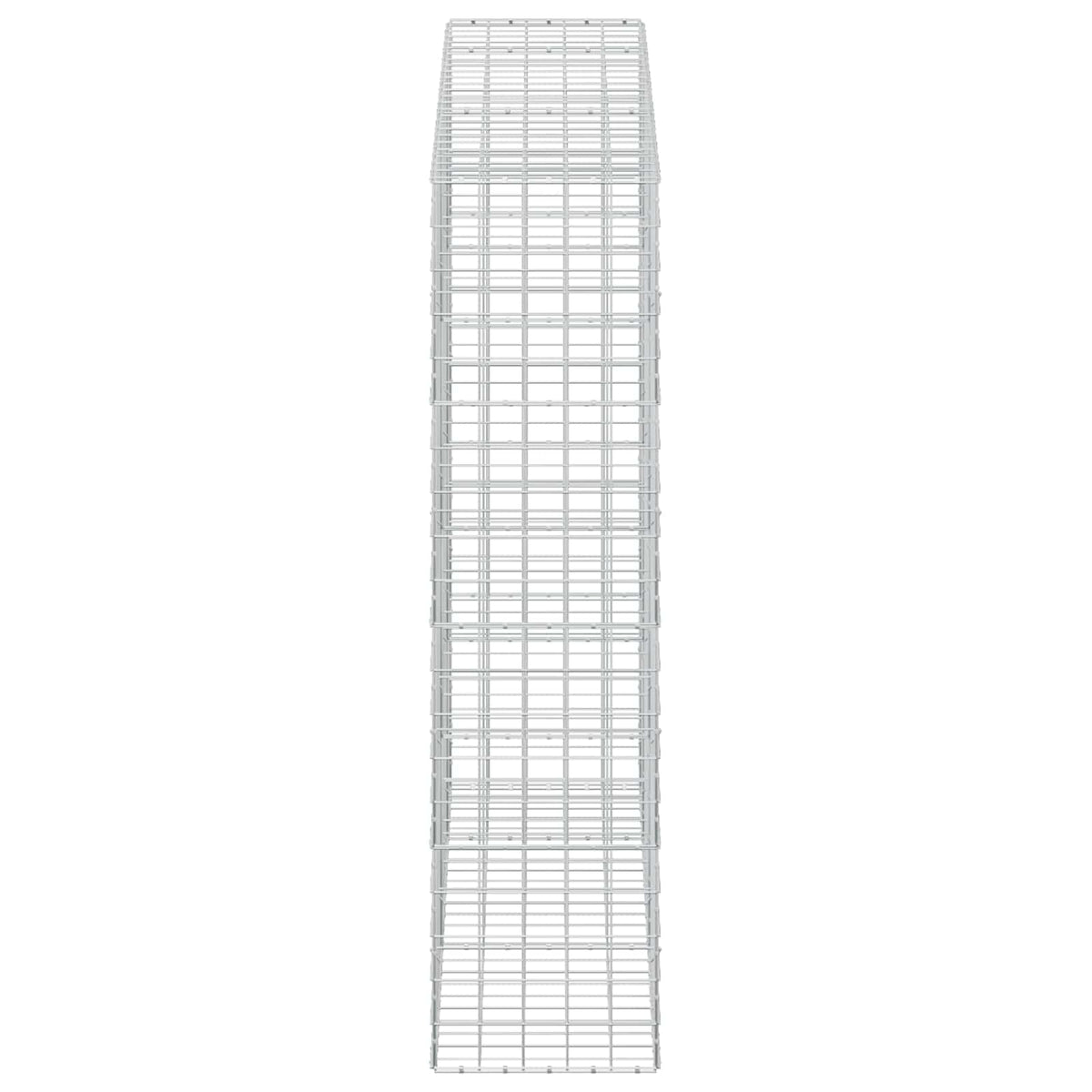 Gabion s žicom debljine 5 mm i mrežom 10x10 cm 250x50x200 cm