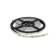 LED traka bijela CW F3528N 4,8W 6500K