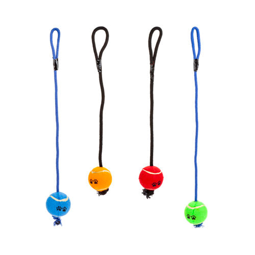 Vodilica za psa 3 metra – Za male pse Zelena