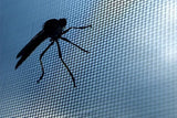Magic mesh - mreža za vrata koja sprečava ulazak komaraca i muva (pogledajte video)